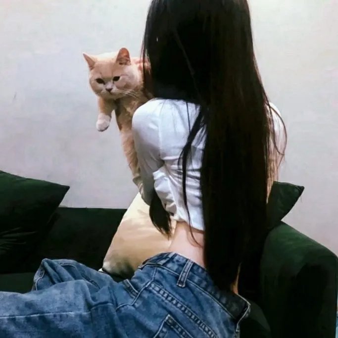 穹顶之下第三季